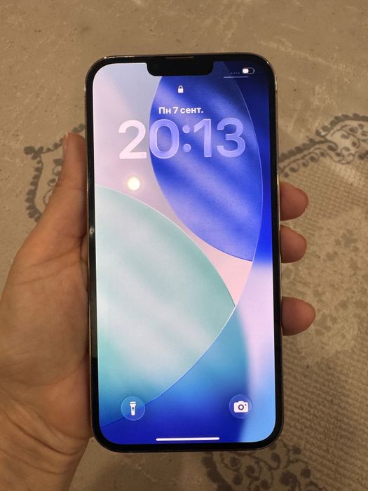 iPhone 13 Pro Max