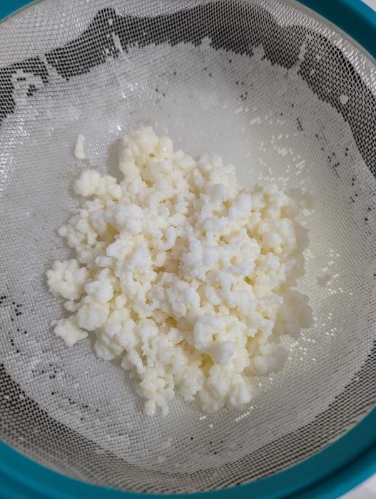 Ciuperca tibetana pentru kefir