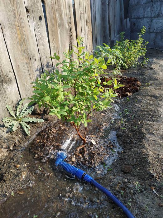 Продам участок с домом в центре