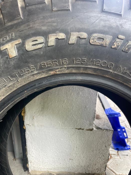 Продам баллон в количестве 1