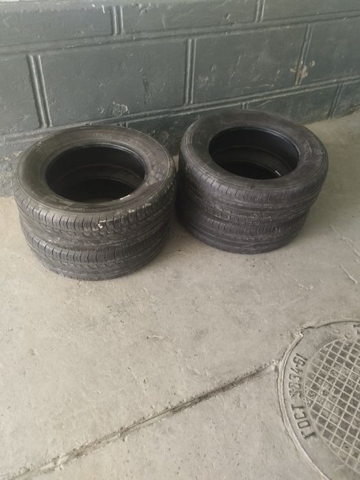 Kobalt radnoy baloni bor