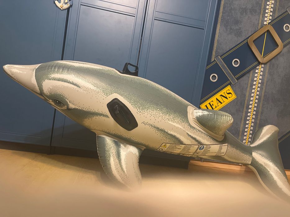 Баллон плавательный