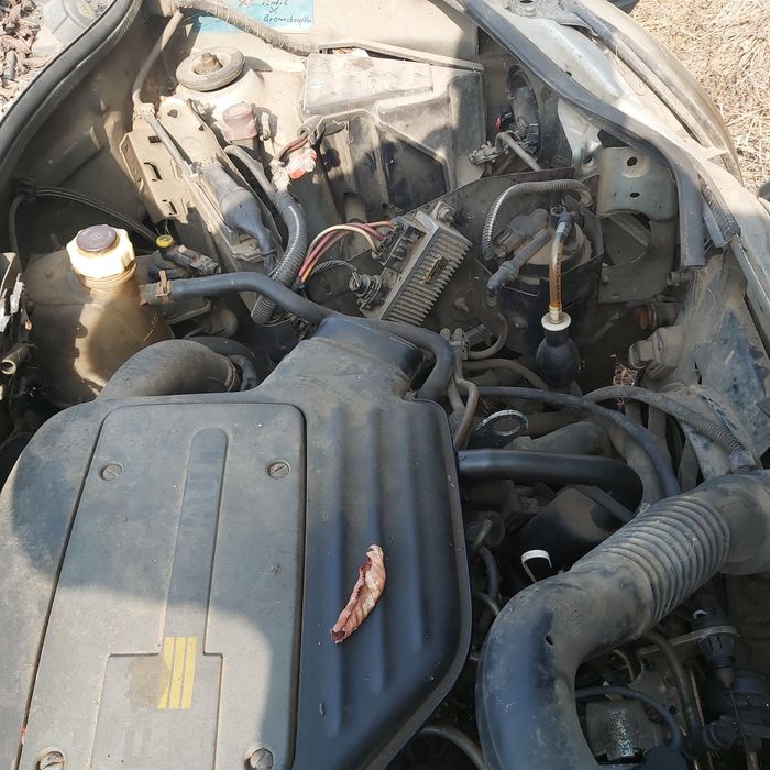 Рено Канго 1.9 D   1999 г. климатик