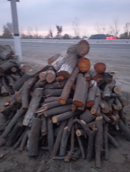 Ótin sotiladi quruq va hól ótinlar