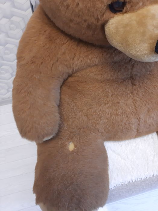 Большой медведь.