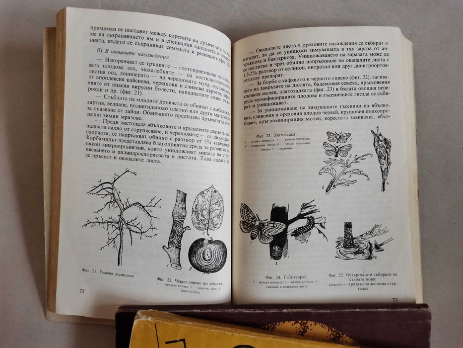 Книги за пчелари и овощари