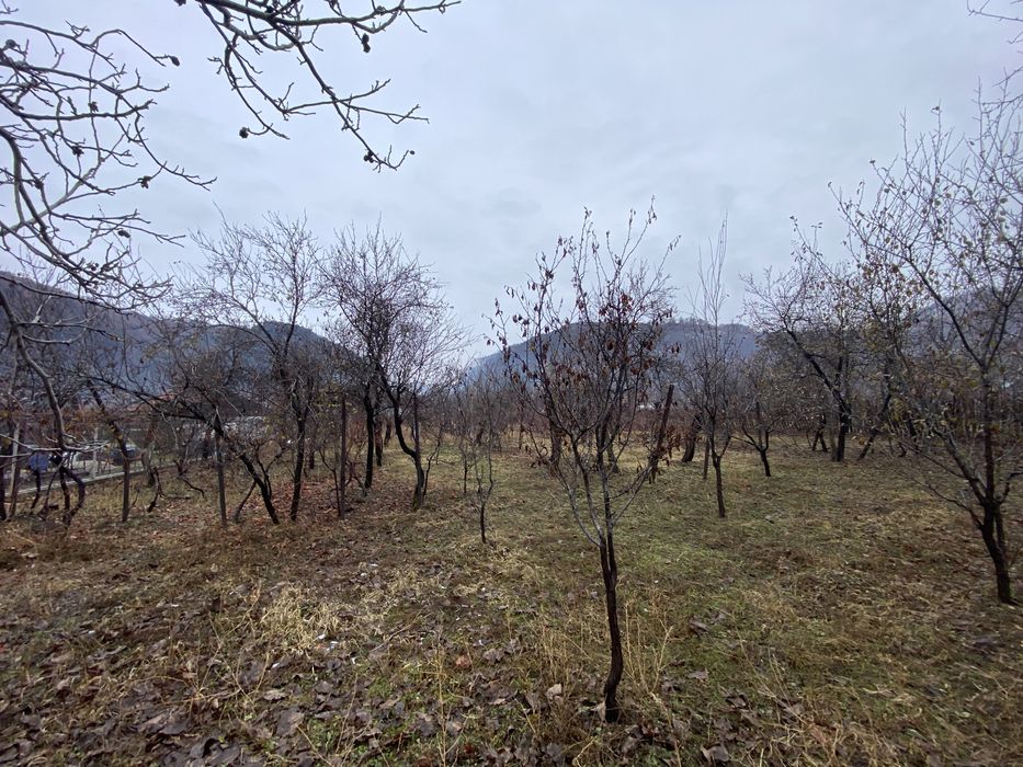 Teren Intravilan Baia de Fier