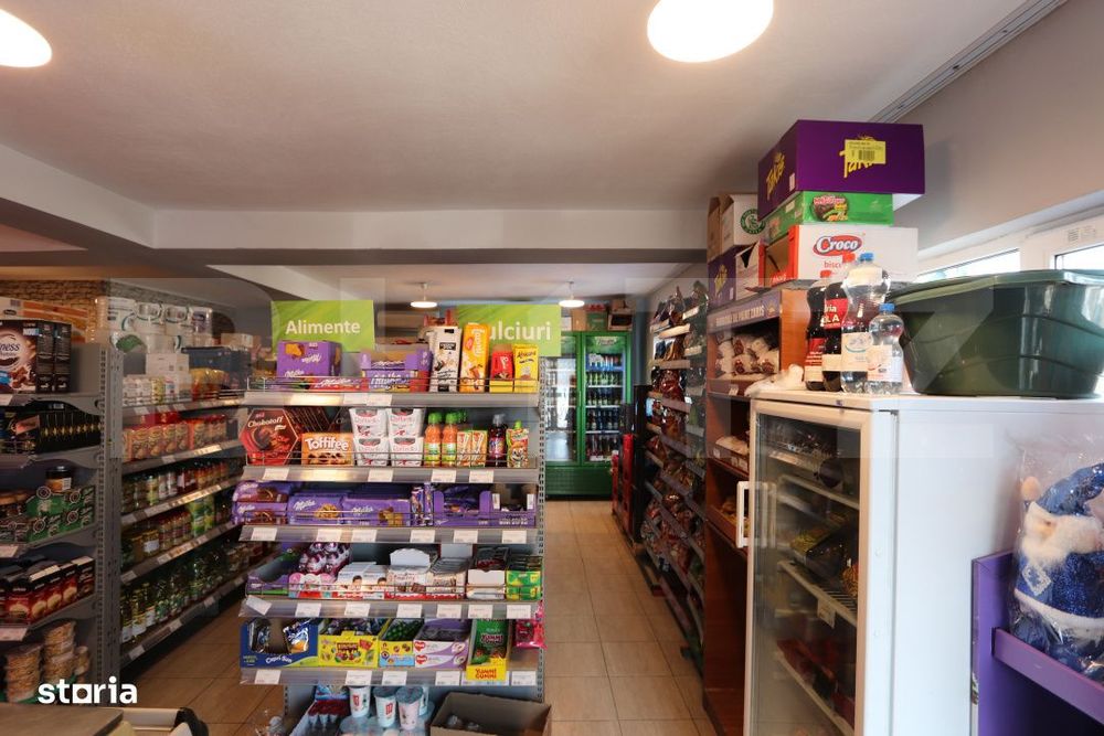 Spatiu comercial + teren, 163 mp utili, 983 mp, Matasaru/Poroinica