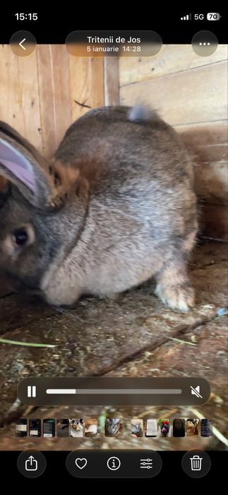 Cauta casa noua jud cluj