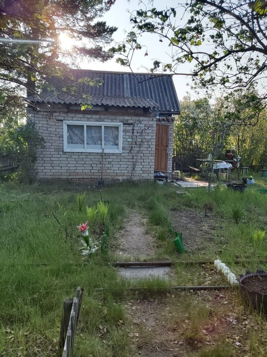 Продам дачу в обществе "Горизонт" 11 соток