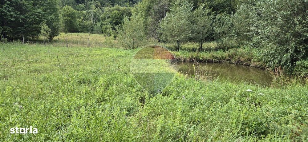Teren de vis de 2.800 mp pe Valea Tărcăului – Cu lac natural și pădure
