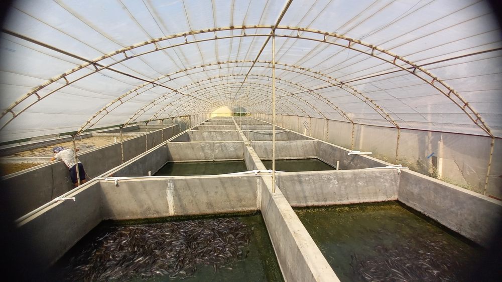 Chirchik shaxar yol yuziga yaqin avtoservice moyka ishlab chiqarish.