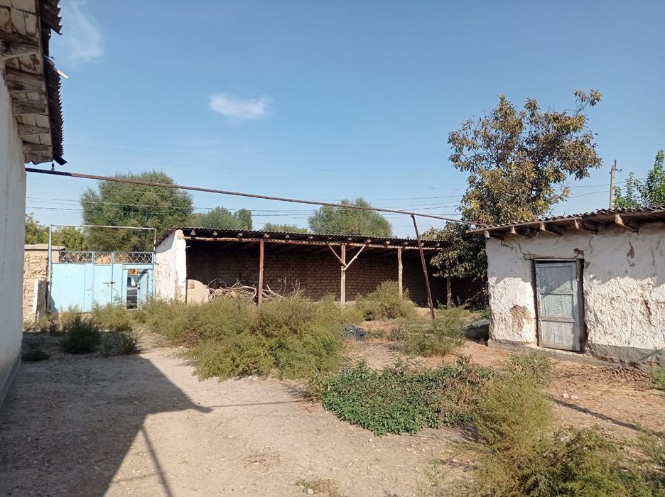 30 соток из них 20 соток теплица в  район Янгийул туман Халкабад