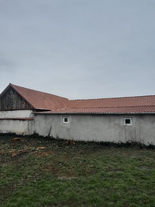 Executam acoperișuri și reparații de urgenta