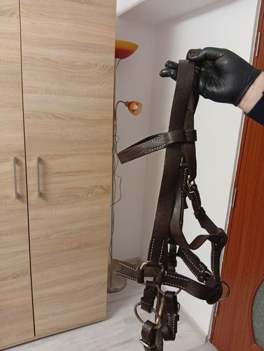 Vând accesorii calarie