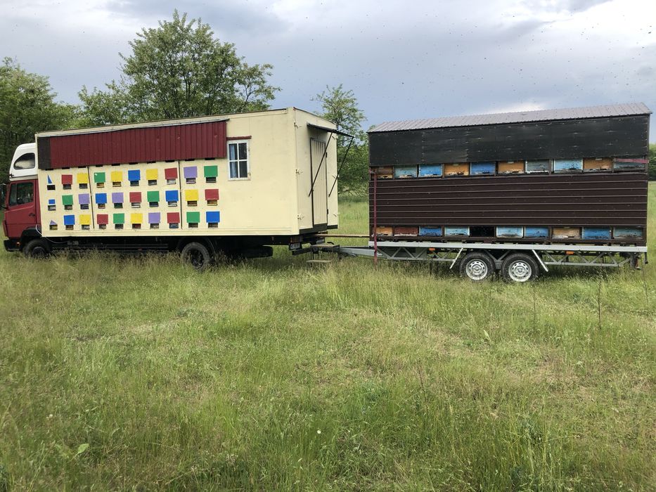 remorca pavilion apicola