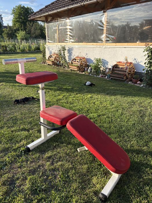Bancă profesională pentru abdomene (Sit-Up Bench) reglabilă – fitness