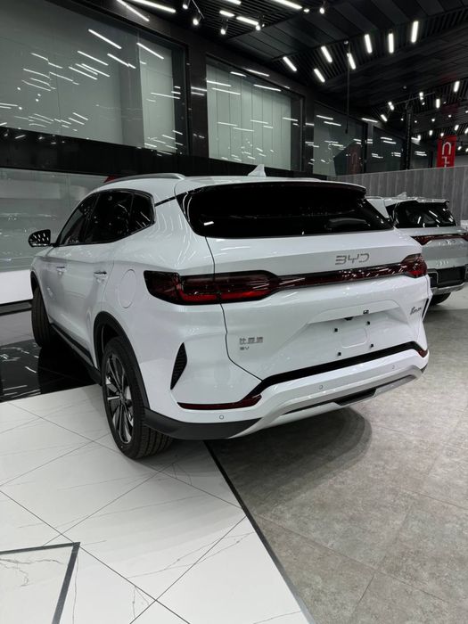 Byd Champion rusifikatsya tanirofka ruxsatnomasi bn gafantyali