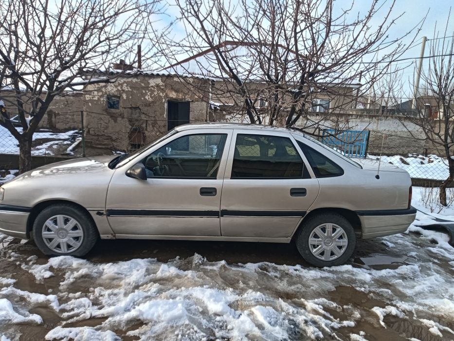 Жағдайы жақсы шірік жоқ