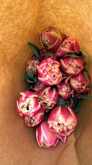 Тюльпаны оптом 420тг