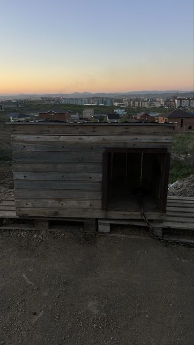 Будка для собак .