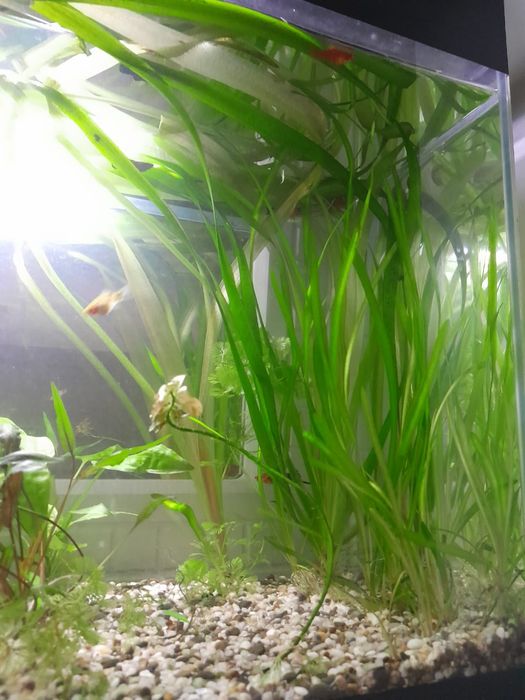 Аквариум 110 литров