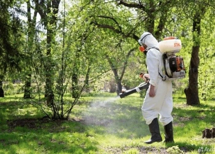 Хашоратларга карши кураш богбонлар фермерлар учун