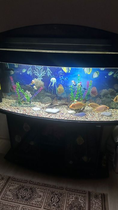 Аквариум 200 литрок