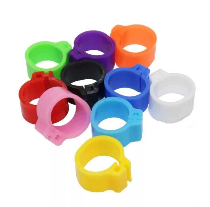 Inele , Cleme , Porumbei-Papagali