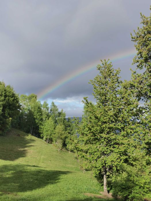 Domeniu turistic 6,2ha Horea fără vecini, funcțional, utilaje incluse