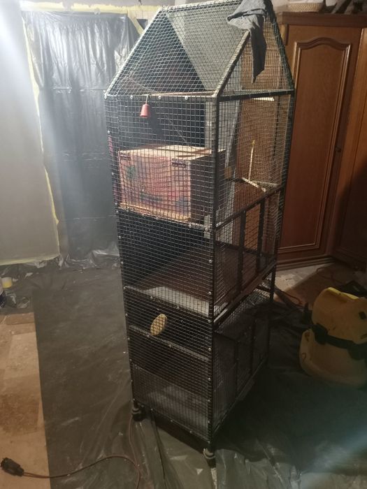 Colivie la. Schimb cu roiuri de albine. Sau  cu porumb