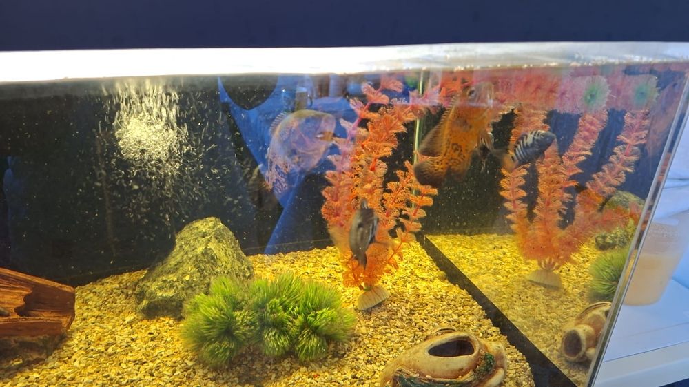 Продам аквариум на 130 литров