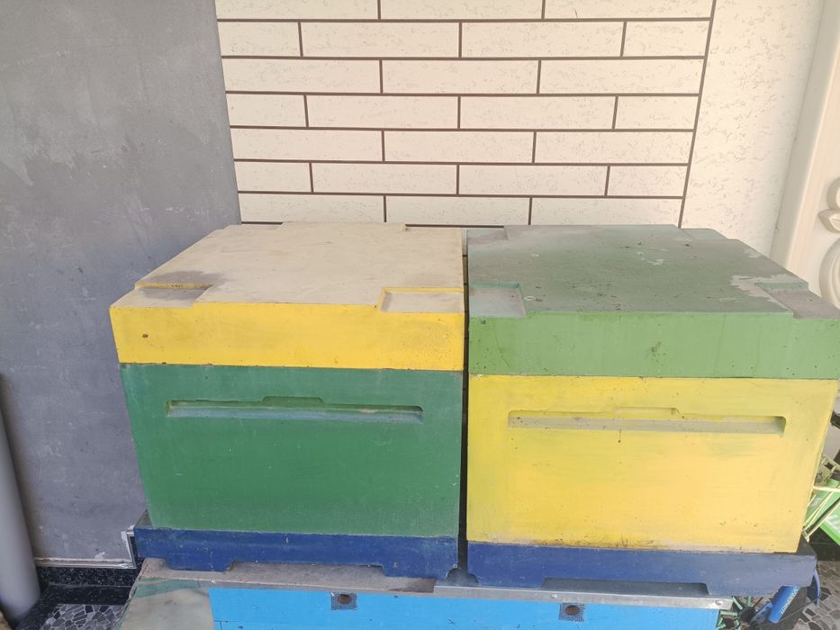 Асал ари уяси сотилади.