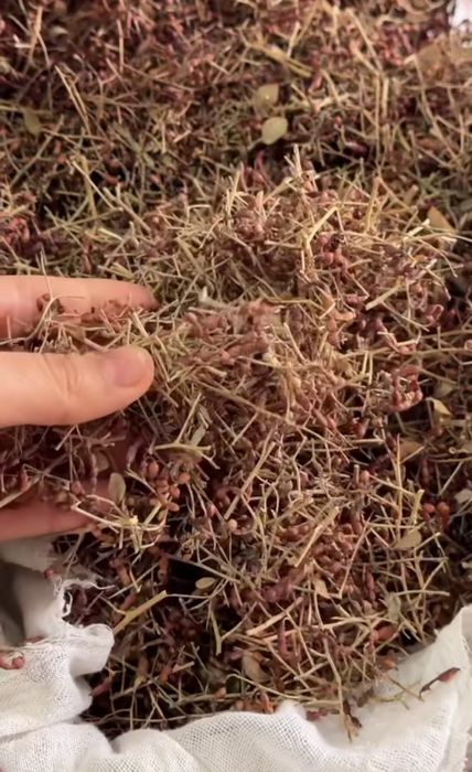 Жантақ шай(верблюжья колючка)