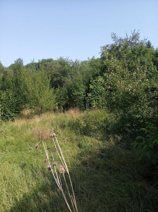 Продава се Парцел в с. Ялботина, Област София-област - 1000 кв.м за 15 €/кв.м - Снимка #3