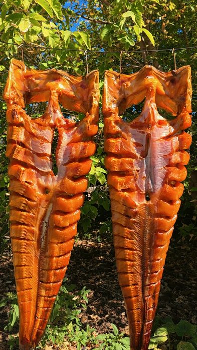 Копчёная рыба с озера Балхаш готовим сами