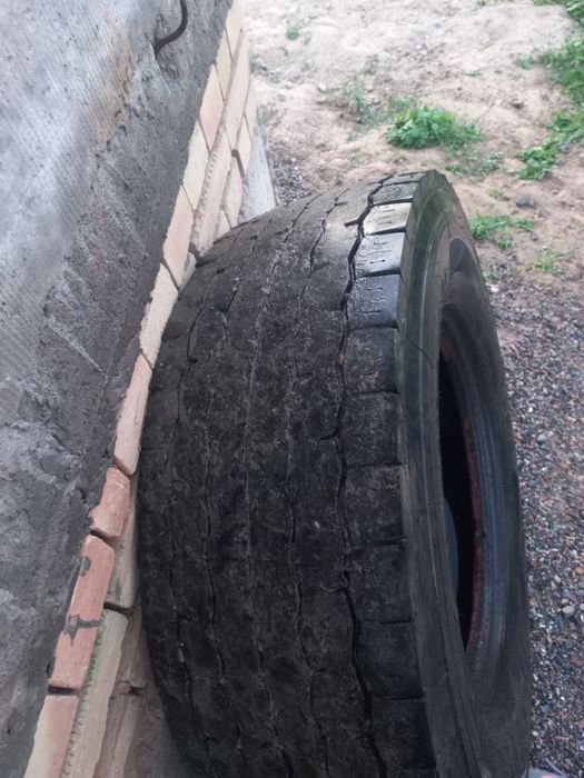 Продам шины для фур.