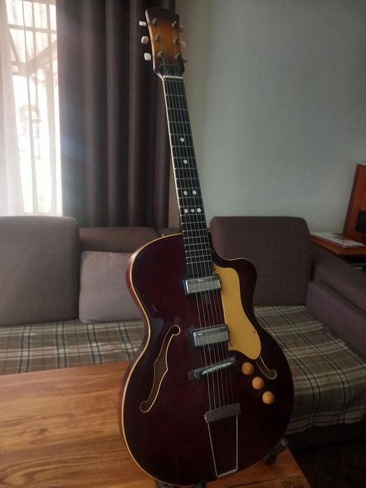 Ленинградские арктопы