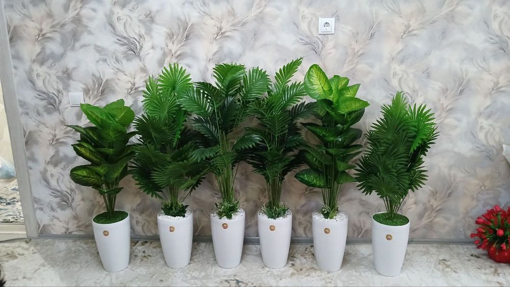 Катта суний гуллар оптом нархларда