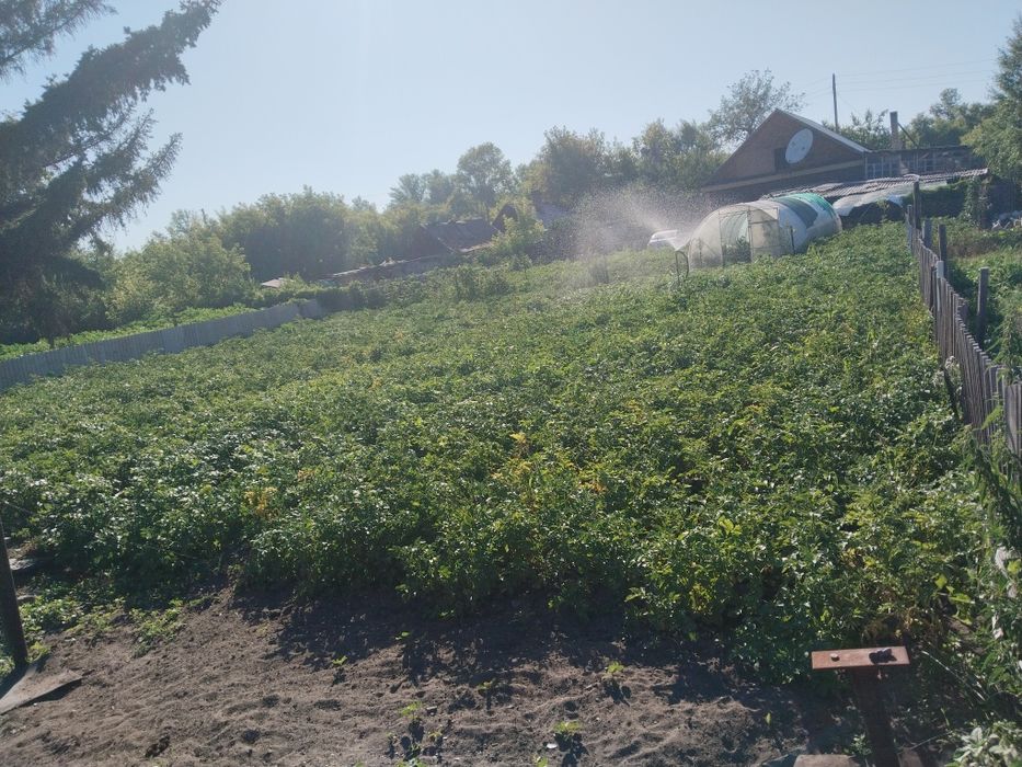 Продаётся дом сортировка рабочий посёлок