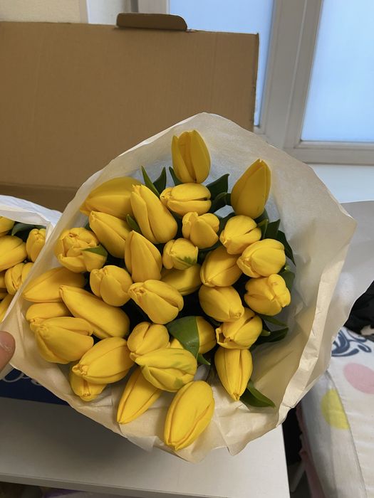 Свежие тюльпаны Алматы 450–550 тг