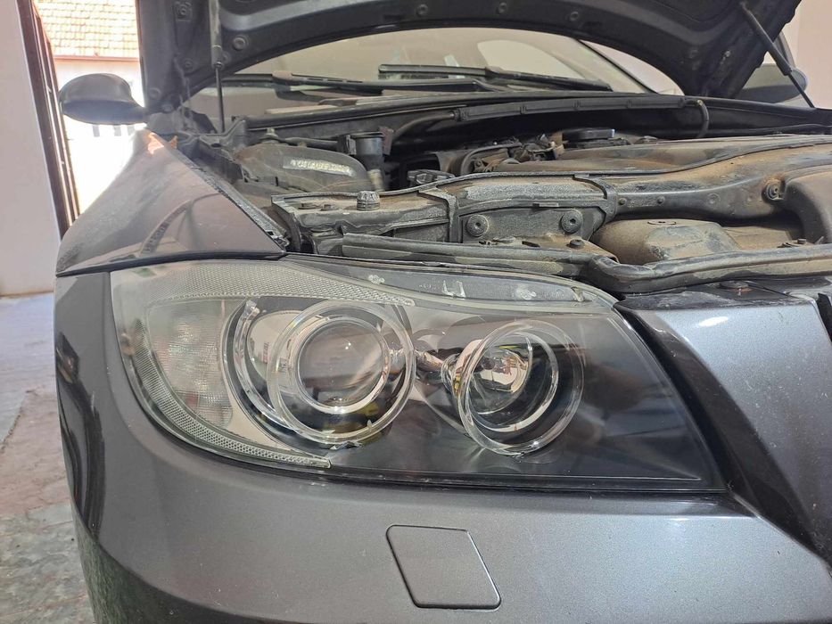 Polish Faruri matuite