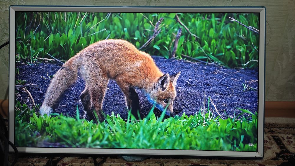 Монитор 24, без ножки