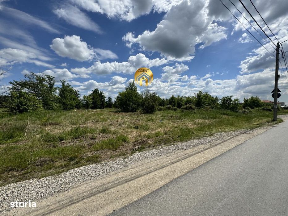 Teren Intravilan 20.000mp - Locatie Excelenta langa Penny Odaile!