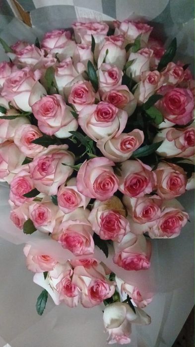 продаю розы 101 и 51 роз