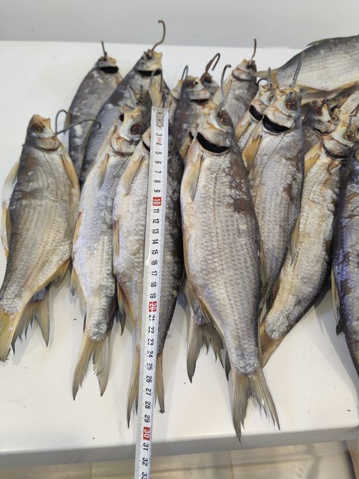 Рыбец вяленый продаю