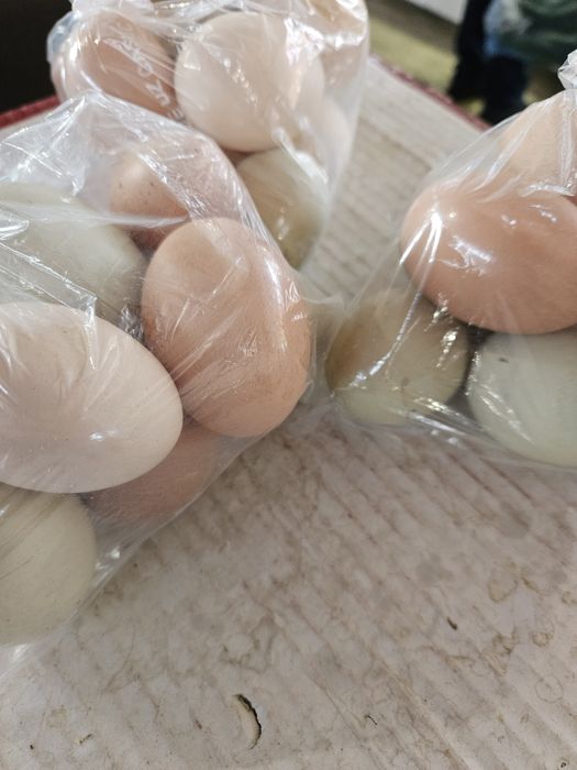 Vând ouă de găină, proaspete.