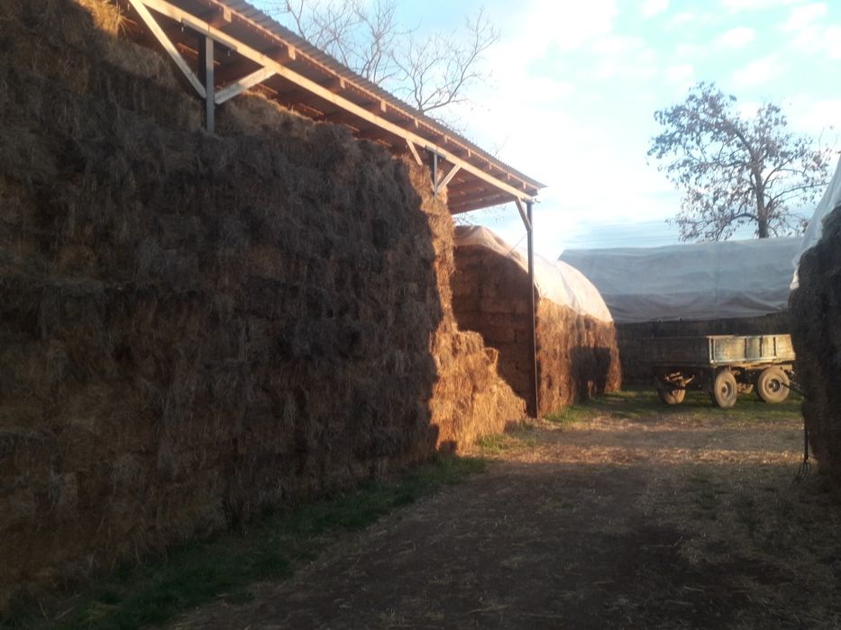 Vand baloti de lucerna