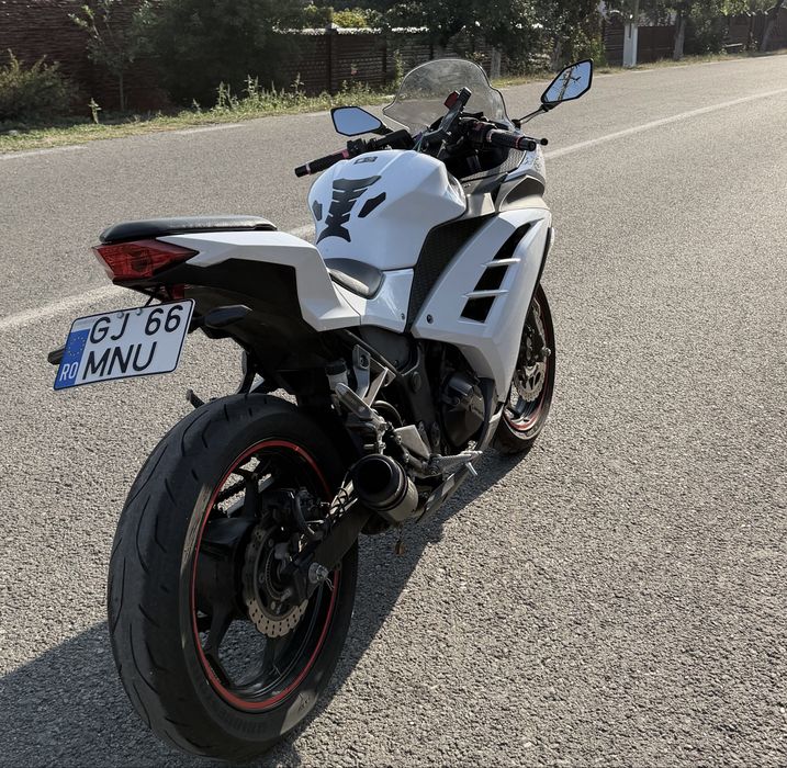 Kawasaki Ninja 300 ABS – 2014 A2