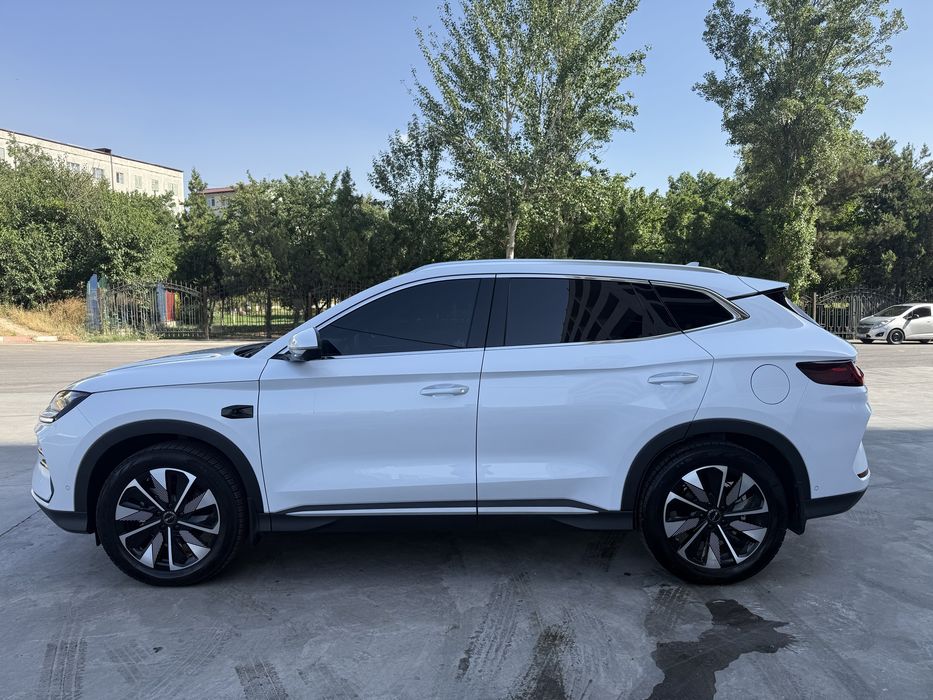 BYD champipn smart 605